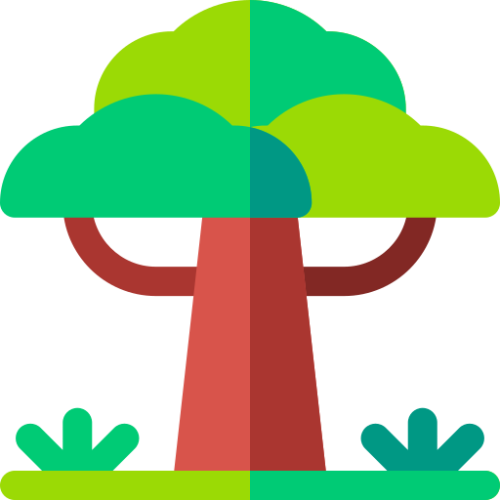 Jungle Safari